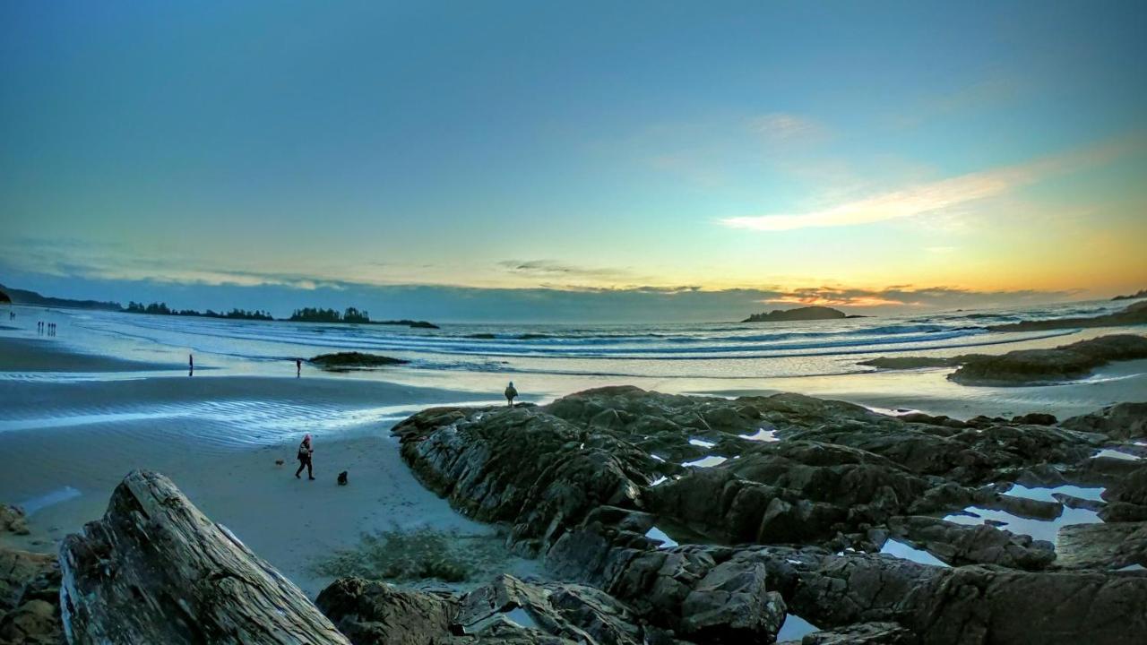 Cobble Wood And Bird Sanctuary Guest Houses Tofino Exterior photo