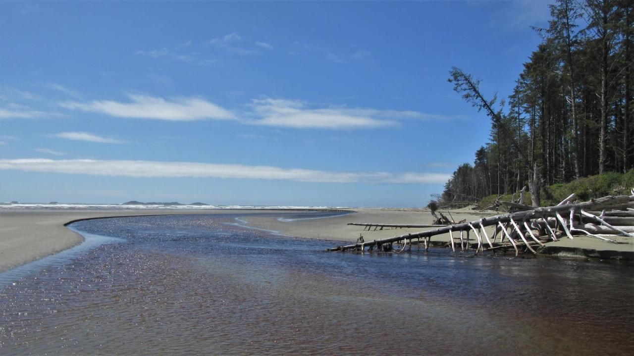 Cobble Wood And Bird Sanctuary Guest Houses Tofino Exterior photo