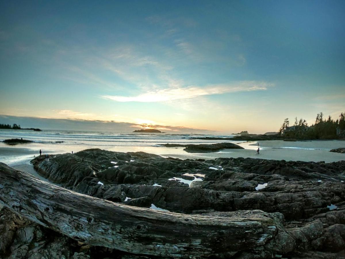 Cobble Wood And Bird Sanctuary Guest Houses Tofino Exterior photo