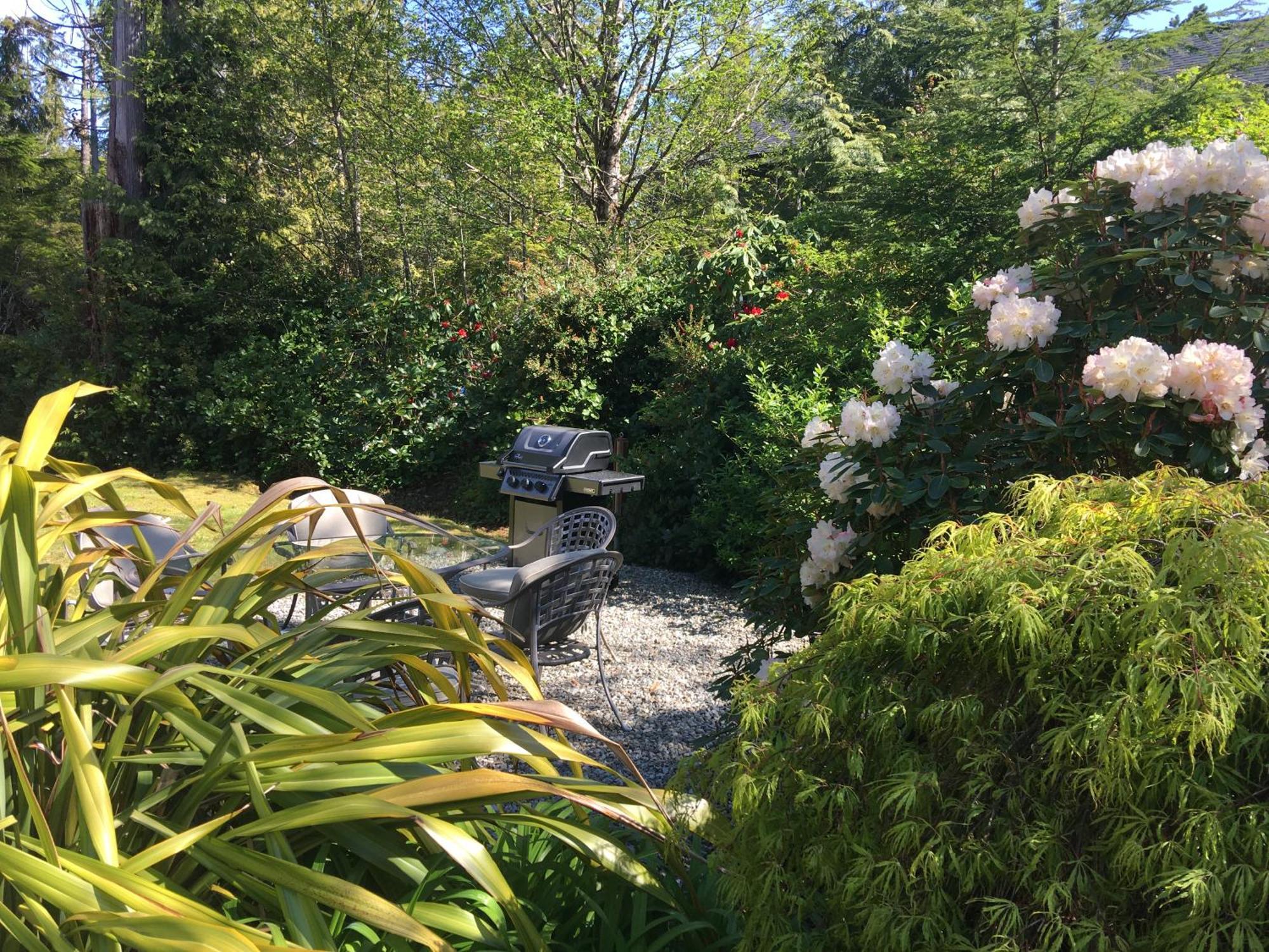 Cobble Wood And Bird Sanctuary Guest Houses Tofino Exterior photo