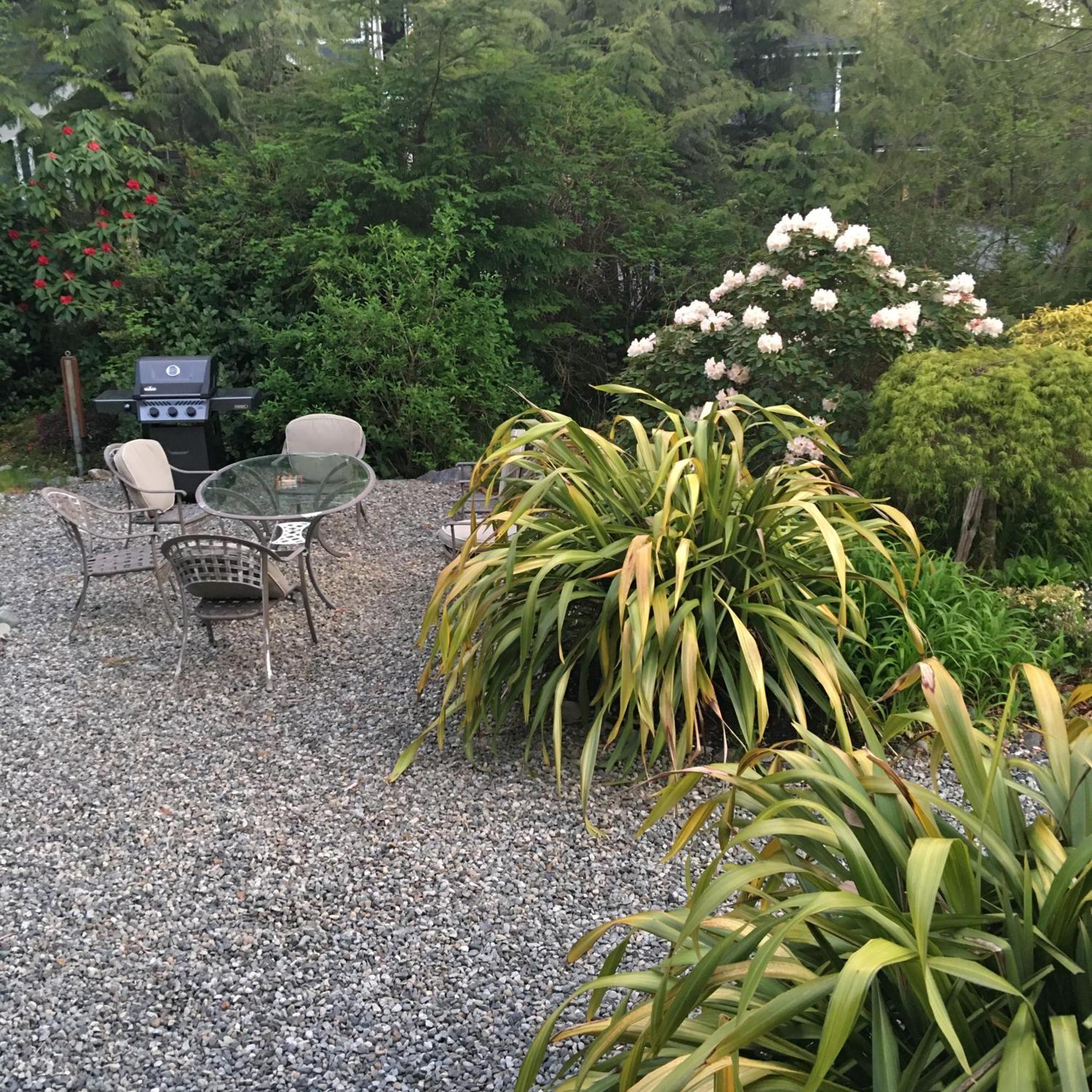 Cobble Wood And Bird Sanctuary Guest Houses Tofino Exterior photo