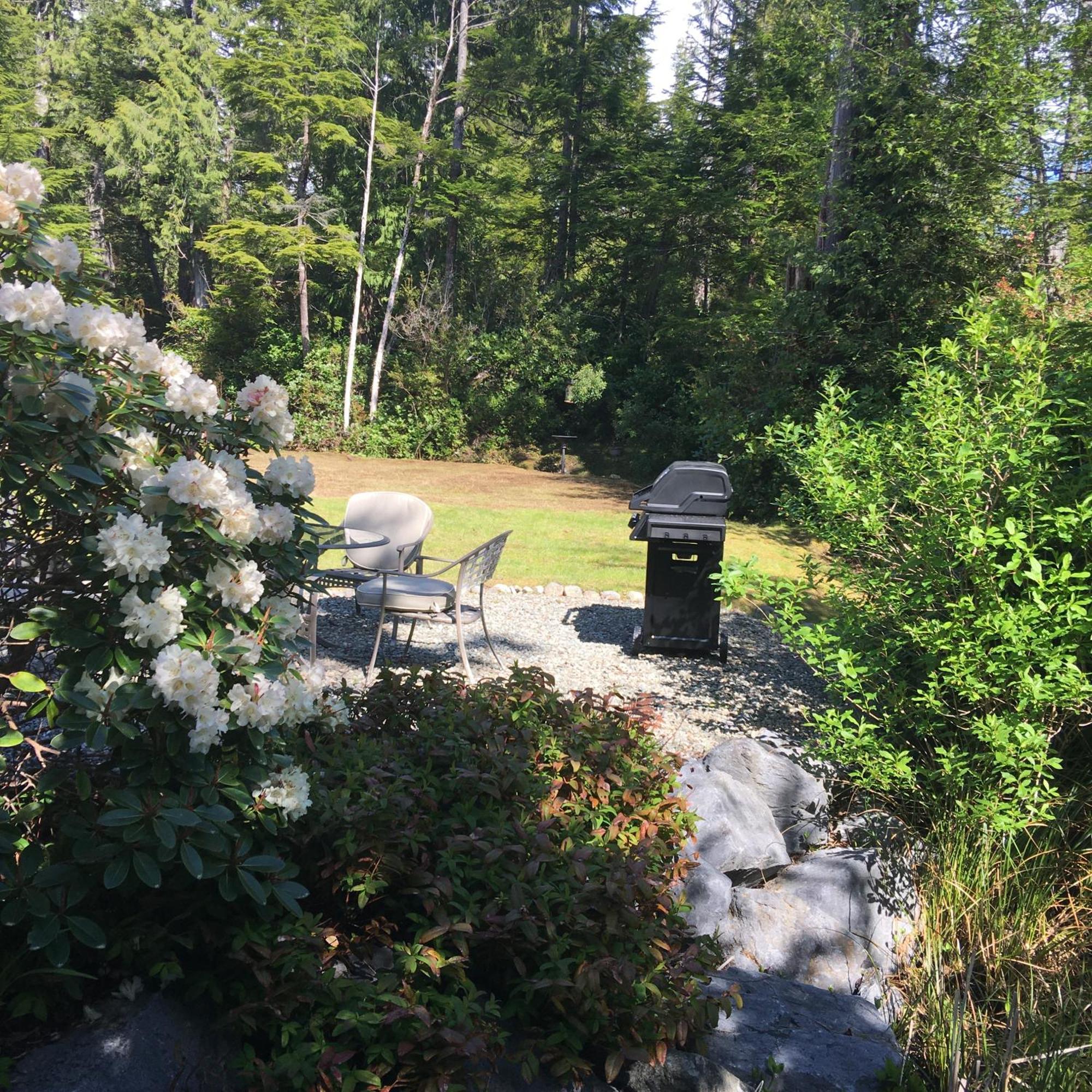 Cobble Wood And Bird Sanctuary Guest Houses Tofino Exterior photo
