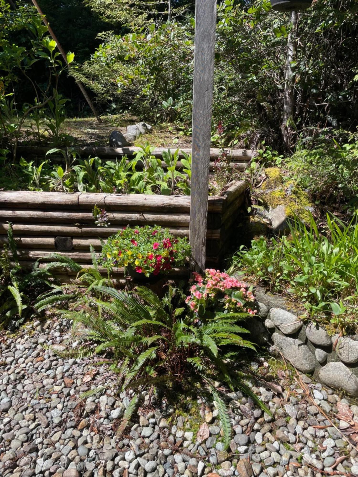 Cobble Wood And Bird Sanctuary Guest Houses Tofino Exterior photo